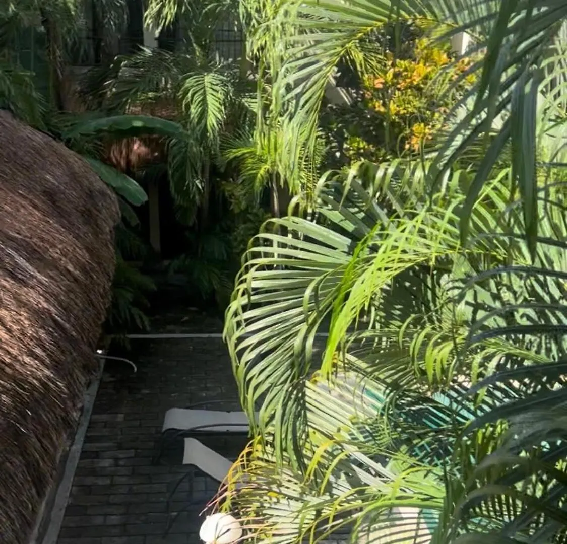 8 Min Away 2 The Sea - Peace Sanctuary Apartment Playa del Carmen